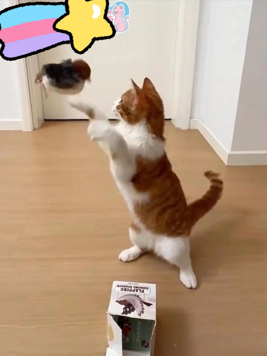 Interactive Plu Toy for Depred Kittens Sound ing  Simulation Toy Touch Sensation Funny Playtime Multi Pet Universal